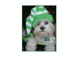 Gençlik başımda duman....