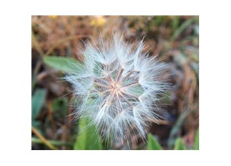 İplikler ruhuma kaynayacak biliyorum...