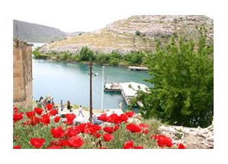 "Fırata verdik siyah gülleri" -Halfeti-