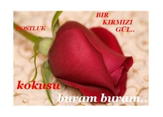 "Dostluk"