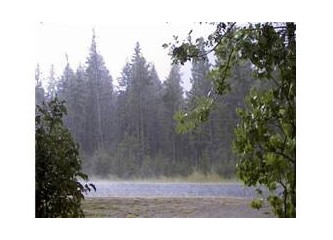 Melankoli