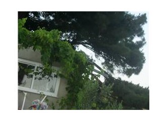 Yaka köyü yanıyor