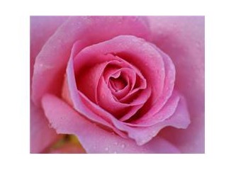 Ruhum kendini aşka ver