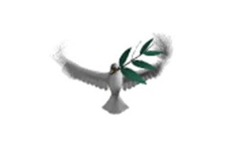 Eşitsizliğin denklemi= Cehalet
