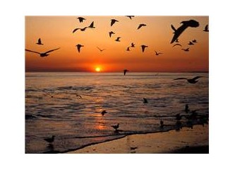 "Nerden başlasam bilemiyorum?" psikolojisi