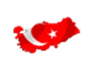 Cumhuriyet için el ele!