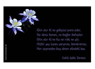 Şu bizim azınlık laikler