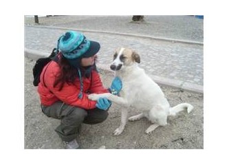 Kapadokya Bize Kalmış Galiba!