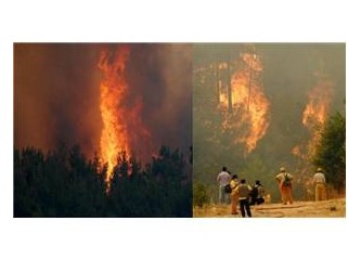 Antalya cayır cayır yanıyor
