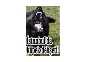 Korktuğum yine oldu