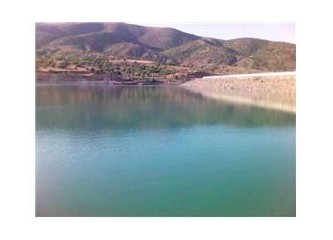 Hadi bir pazar sabahının hayalini kuralım