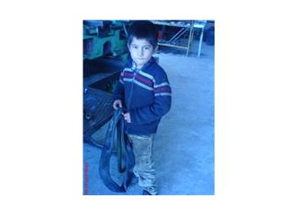 Enler