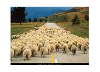 Haydi gözünüz aydın!