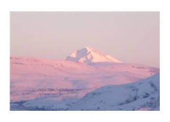 Dünyada 25. harika...