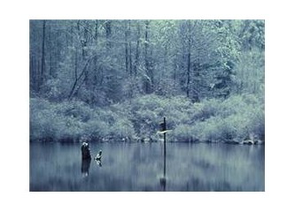 Ey ömrümün sonbaharında çıkıp gelen güzel
