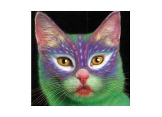 Kedi boyama sanatı