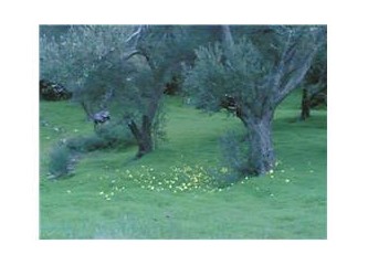 Kız kıza dans etmek çok ayıp