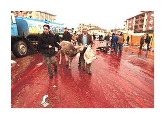 Kaçak kasap zabıtayı kovaladı bayramı!