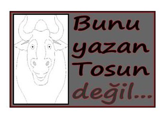 Bunu yazan Tosun değil...