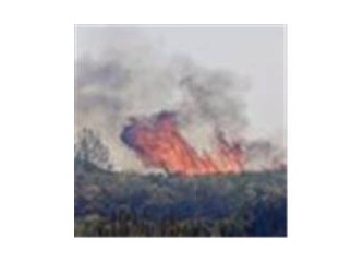 Geleceği kararan insanlık