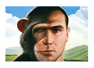 Maymun savaşları ve siyasallaşan maymunlar