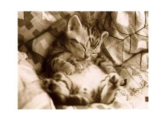 "O an" ile ilgili (bölüm 2)