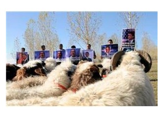 Van nire, Obama nire