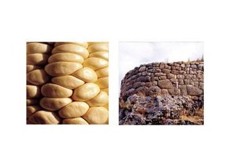 Doğa İşini Nasıl Yapıyor?