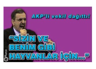 Bu ne biçim milletvekili?