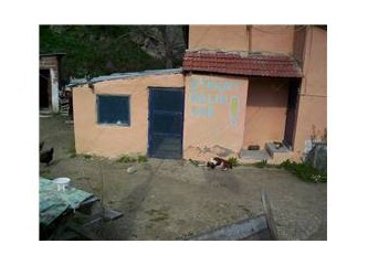 Dikkat! Balık var.