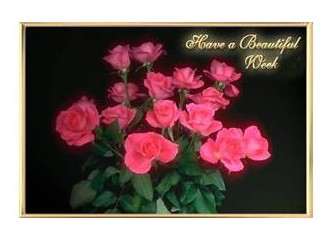 Güldüren- Düşündüren Dizelerim