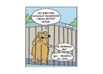 İslam ve ekonomi anlayışı (9) birleşmeyi öğrenmiş, paylaşmayı öğrenememiş "Birleşmiş Milletler"