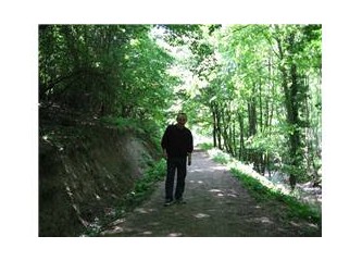 2008 yazına girerken sağlık sorunları