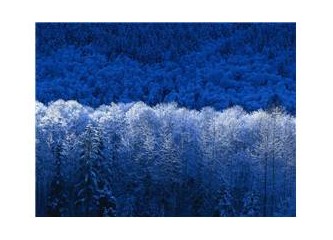 Türkiye' de politik zihniyet değişimi