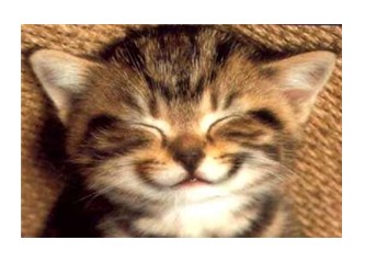 Bir kedim bile yok anlıyor musun hadi gülümse:)