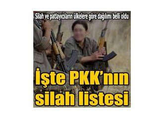PKK’nın elinde hangi ülkenin silahları varmış?