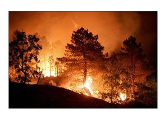Yunanistan'da ve Türkiye'de orman yangınları; doğayla omuz omuza yok olan insan