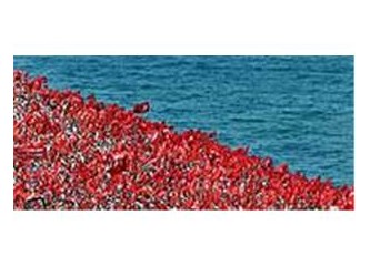 Sandık geldi...! Söz artık seçmende mi?
