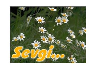 Sevgi an'dadır