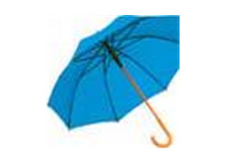 Mavi Şemsiye