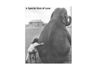 Besleyen veya kaybettirenler;  yanımızdakiler