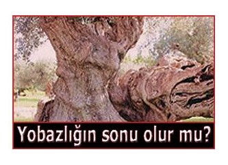 Yobazlığın sonu olur mu?