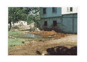 Hayvancılık işletmelerinde gübrenin yarattığı çevre kirliliği