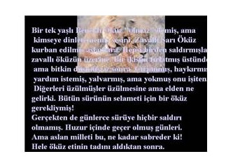 Kutuplaşan Türkiye’me sarı öküz fıkrası