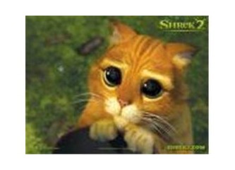 Yetenekli Bay Gökçek