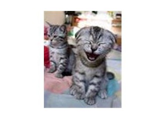 Takıldığın soruyu geç...