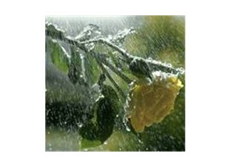 Olanaksızlığımsın