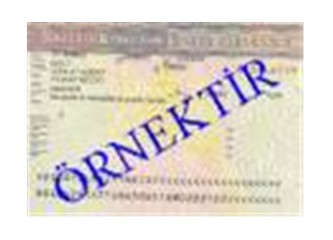 Istanbul'a atanan bir Sivasli subayin basina gelen vize sorunlari...