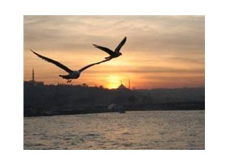 Sevdim seni İstanbul