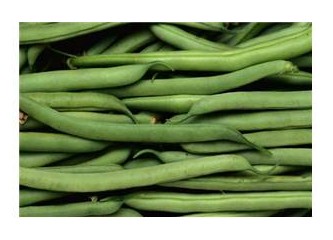 Yeşil fasulye ? /Phaseolus vulgaris